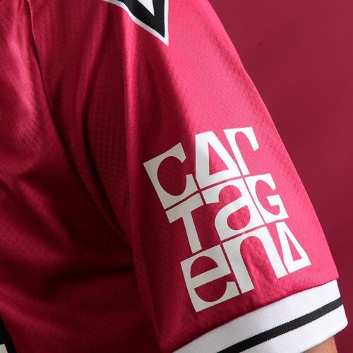Camiseta Segunda Equipación 25/26 - Imagen 5